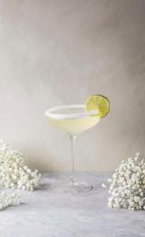 Champagne Coupe vinglass - 20 cl - 1 stk.